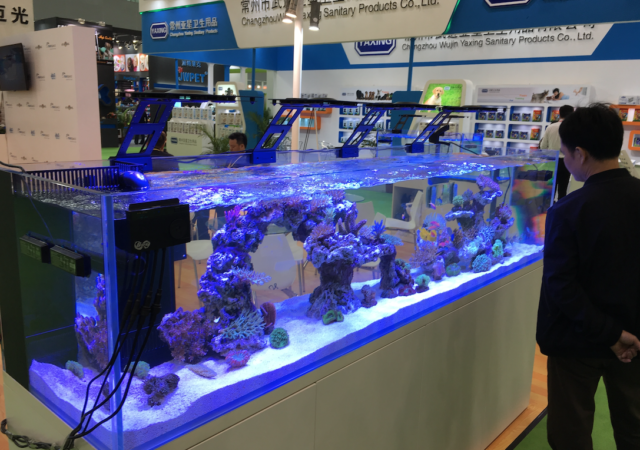 Large display aquarium at CIPS