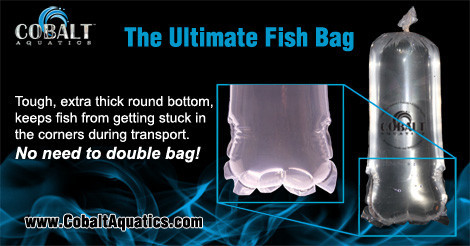cobalt ultimate fish bag