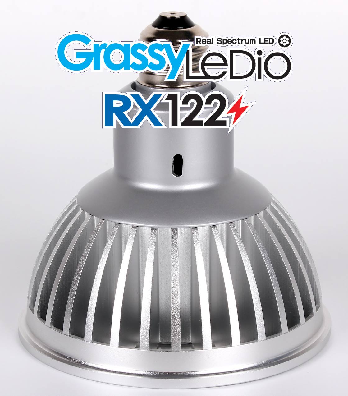 grassy-ledio-rx122