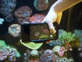 ovision-underwater-iphone-case-11